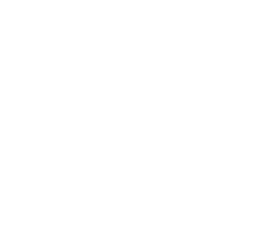 기영이숯불두마리치킨